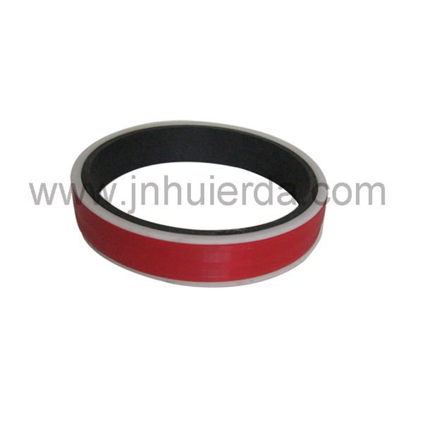 Oil pump seal  02